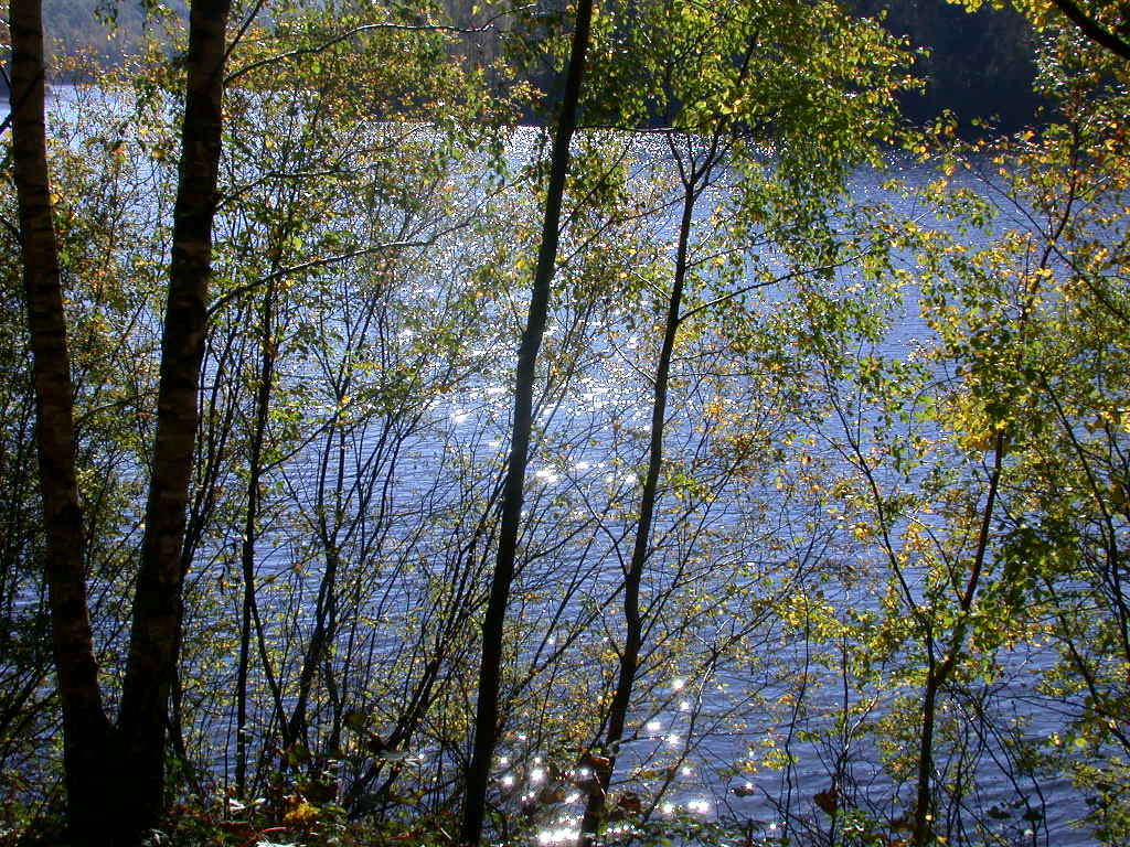 Alcuni ritrovamenti di ...  domenica 14/10/07